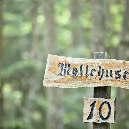 2507-nexo-ostre-fort-alle-10 *