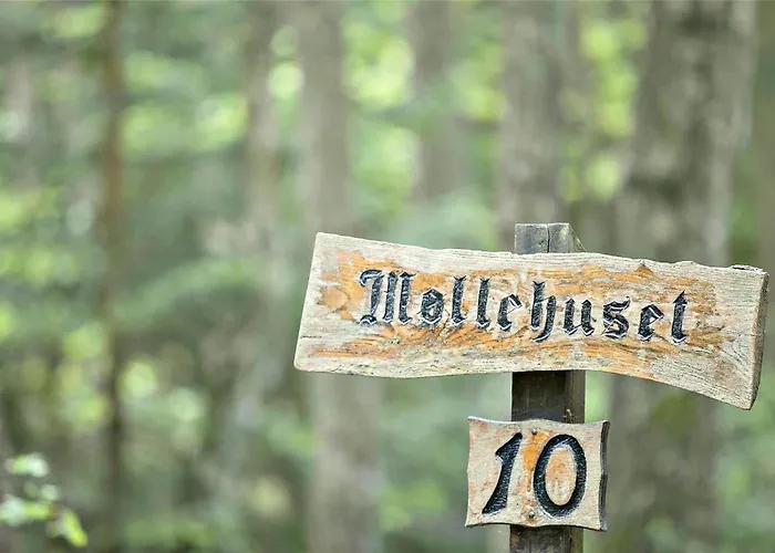 2507-nexo-ostre-fort-alle-10 *