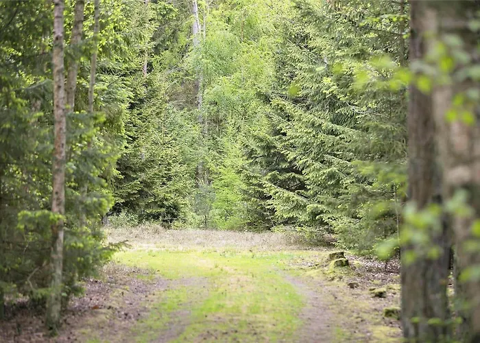 2507-nexo-ostre-fort-alle-10 Σπίτι διακοπών Neksø